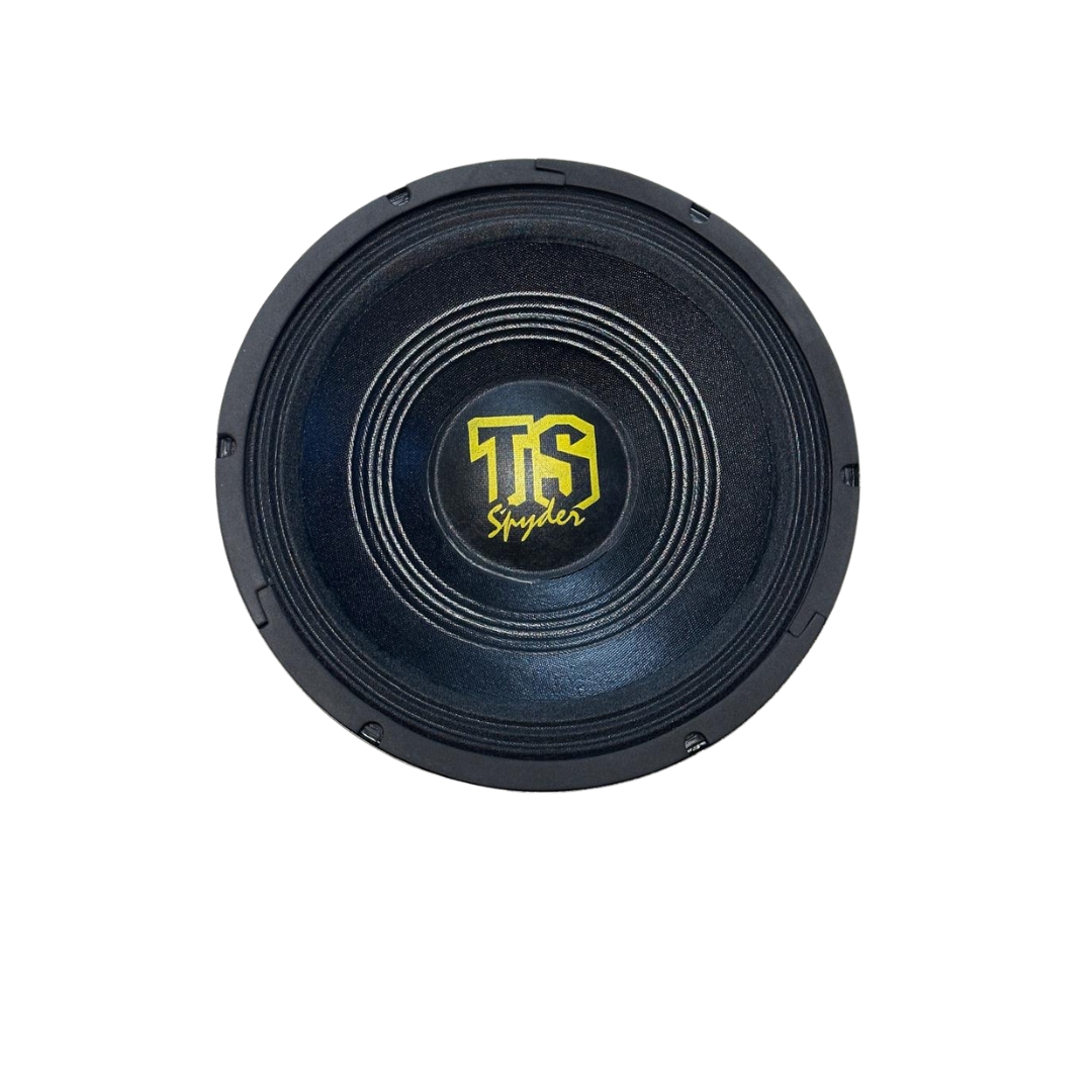 TRIO TS100 10 POL 100W RMS