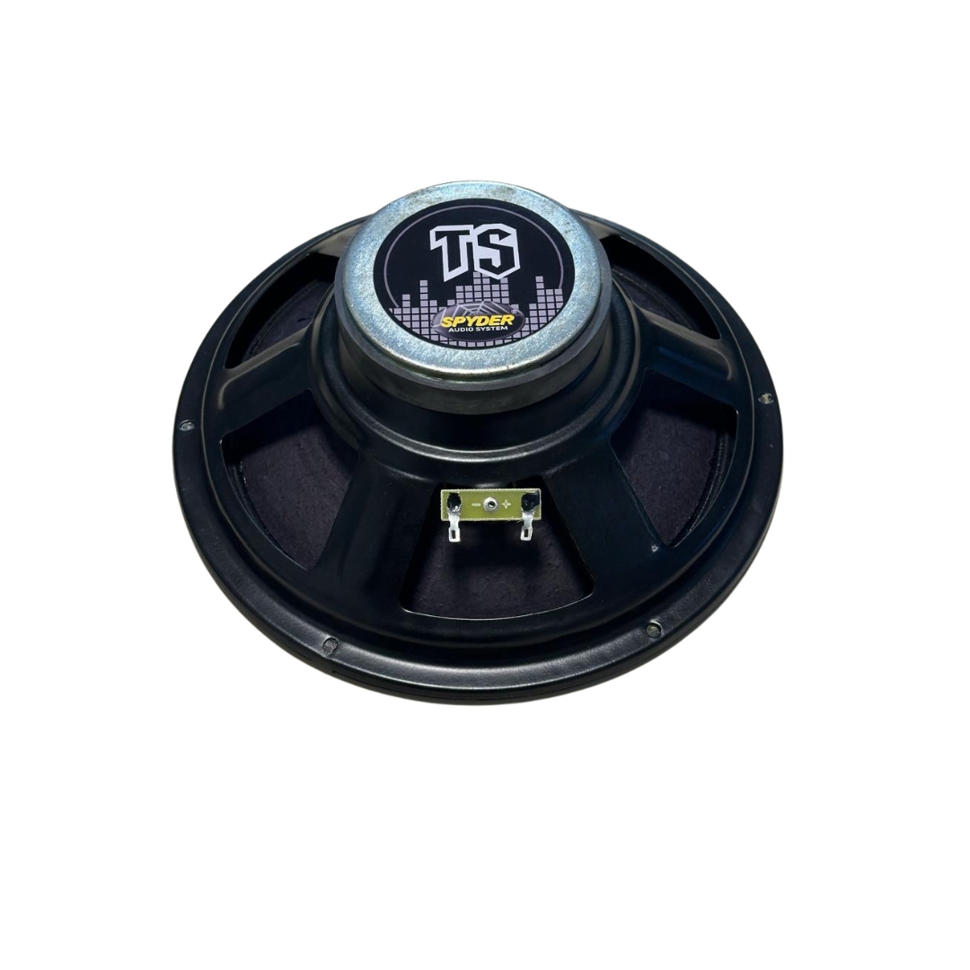 TRIO TS100 10 POL 100W RMS